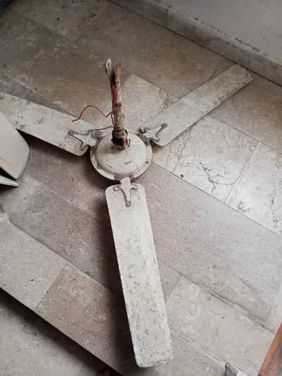 CEILING FAN