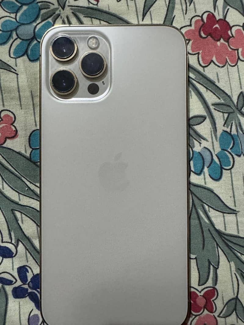 Apple iPhone 12 Pro Max 1