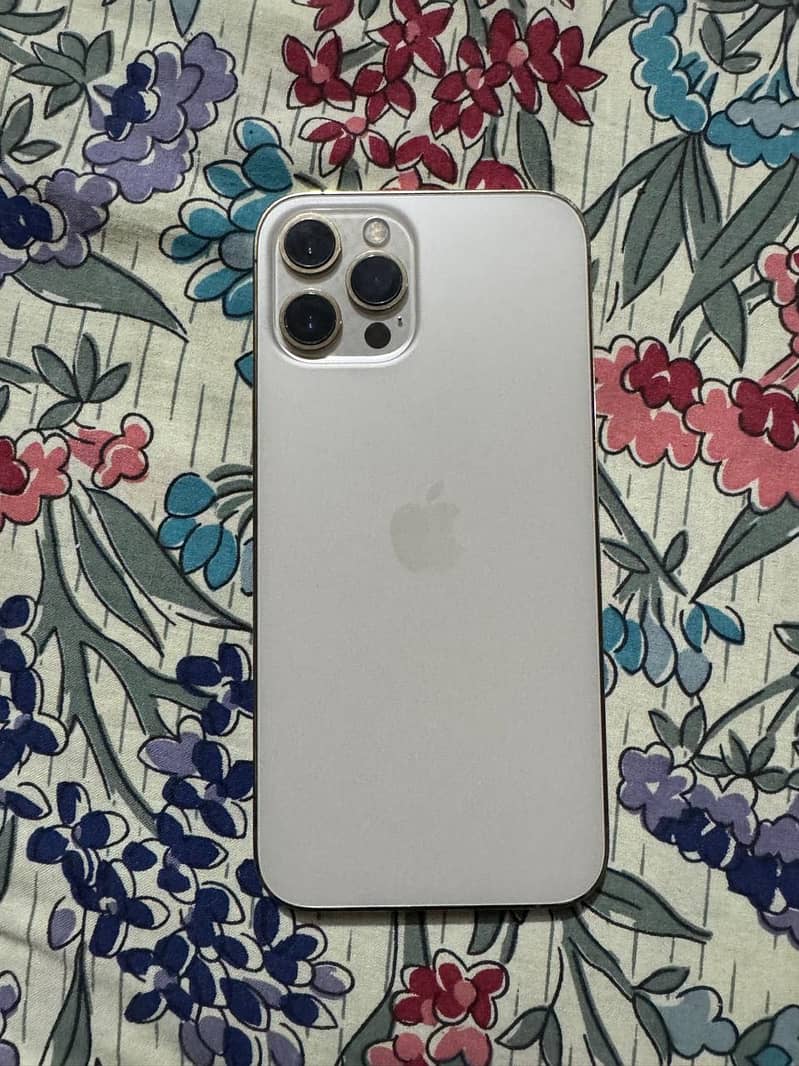 Apple iPhone 12 Pro Max 3