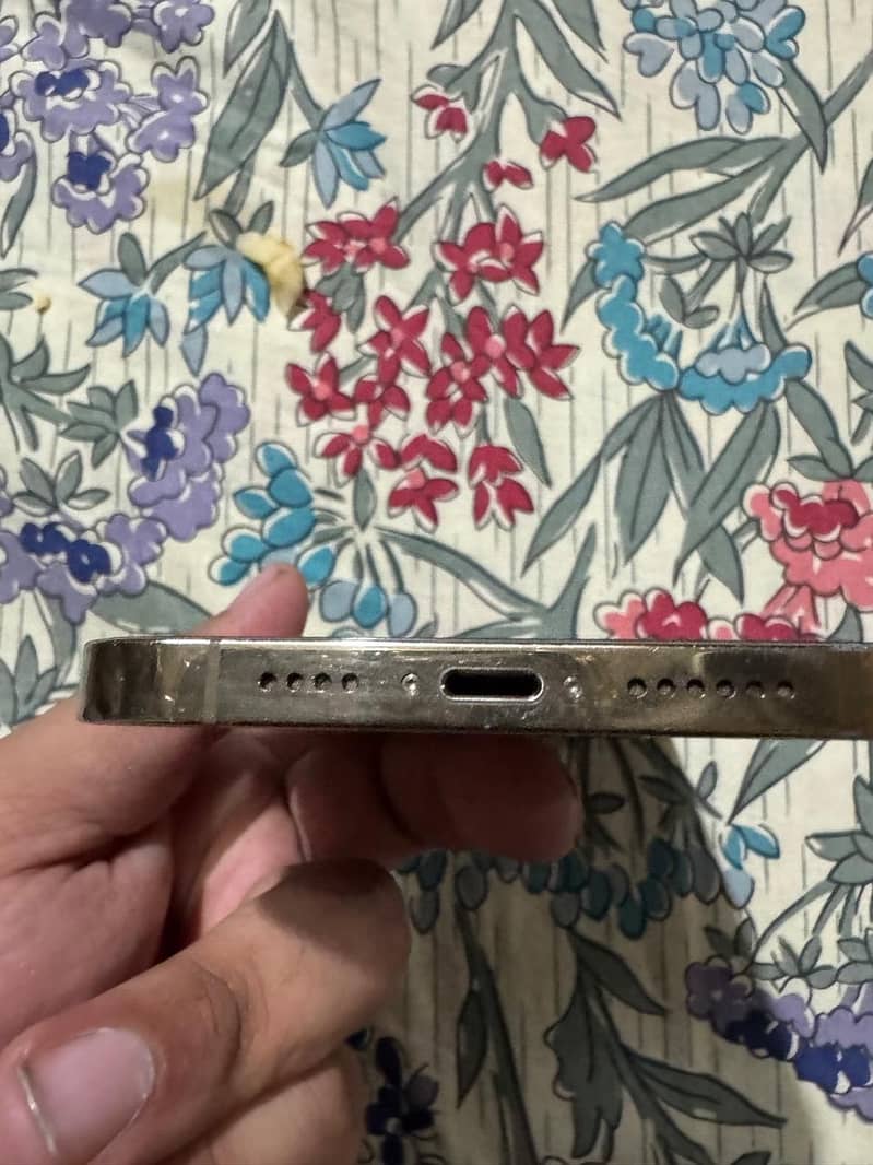 Apple iPhone 12 Pro Max 5