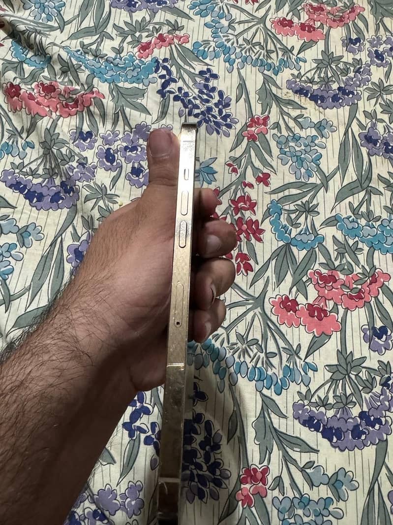 Apple iPhone 12 Pro Max 6