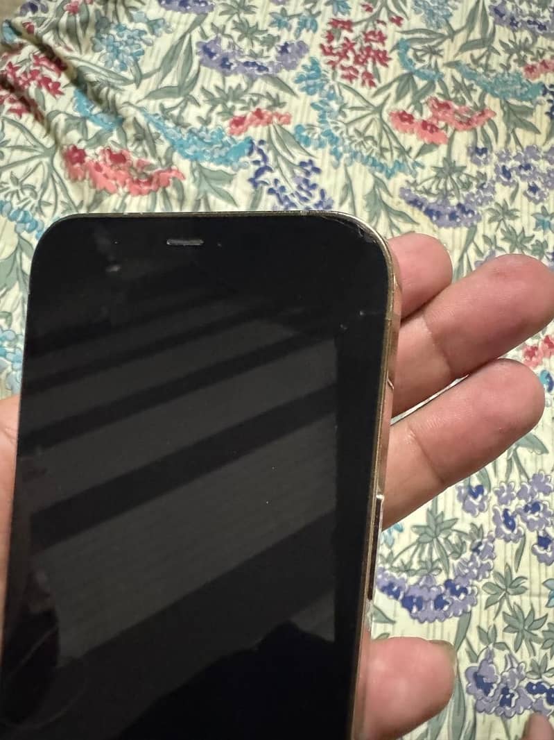 Apple iPhone 12 Pro Max 7