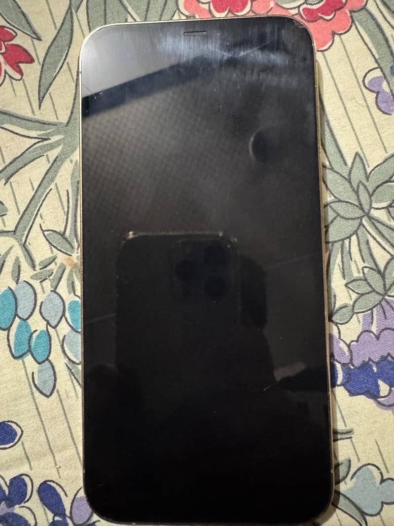 Apple iPhone 12 Pro Max 9