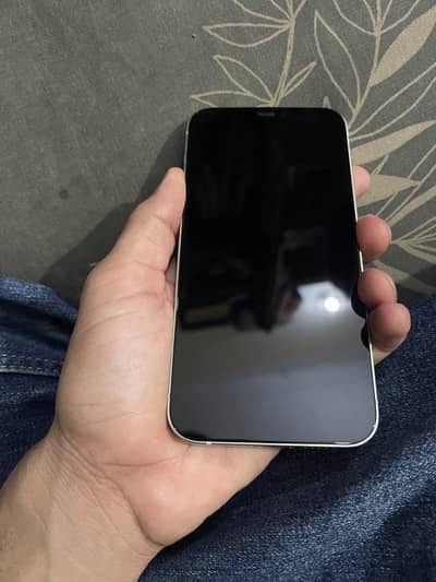 Apple iPhone 12