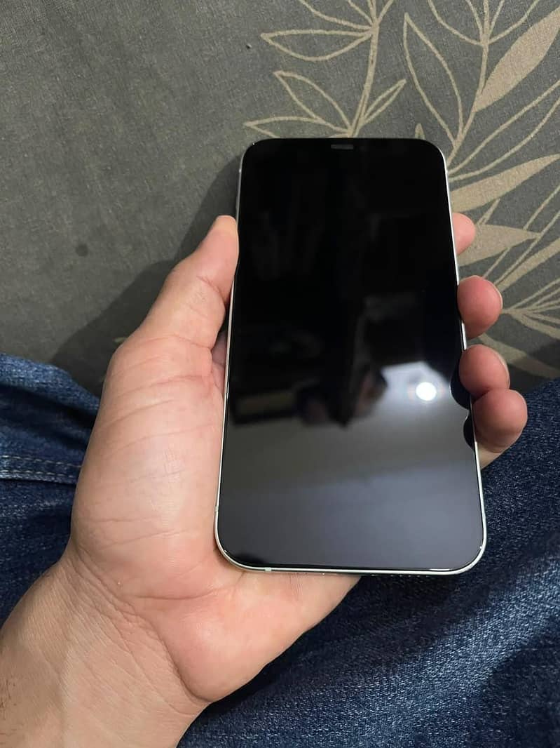Apple iPhone 12 1