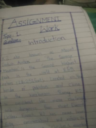 Assignment writers