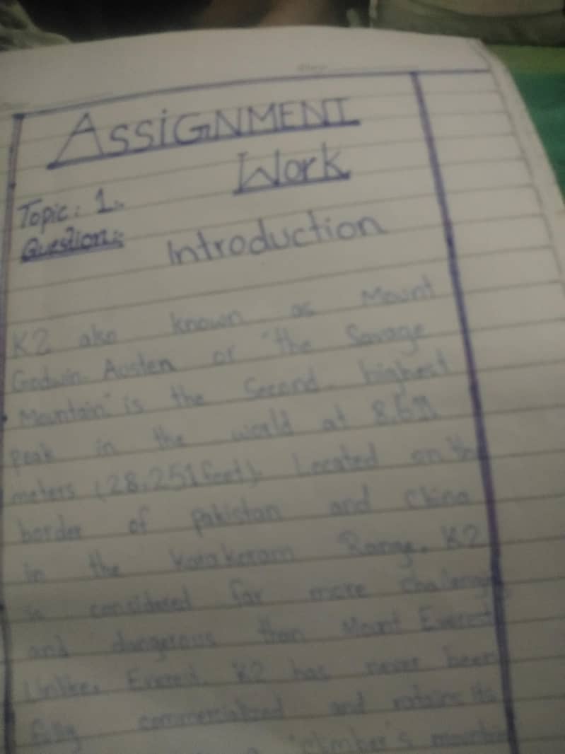 Assignment writers 0
