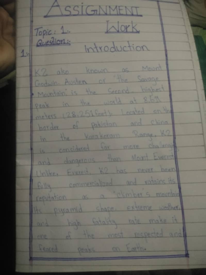 Assignment writers 1