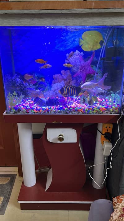 Aquarium with fish