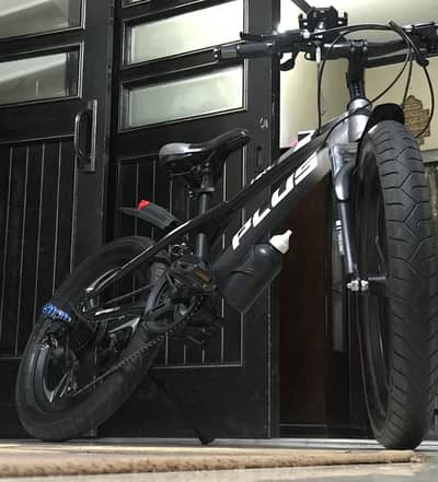 Plus bicycle
