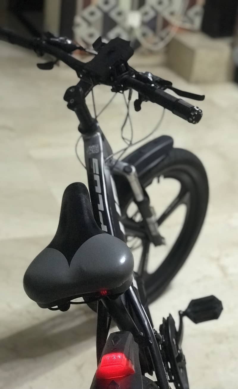 Plus bicycle 2