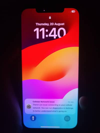 Apple iPhone 12 Pro Max