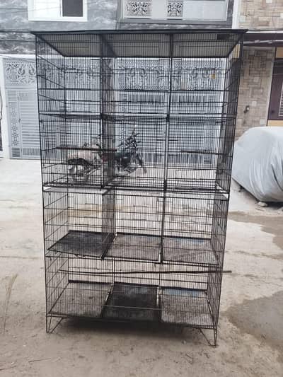 Cage for Lovebirds and  Budgies