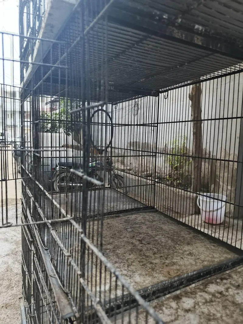 Cage for Lovebirds and  Budgies — photo 3