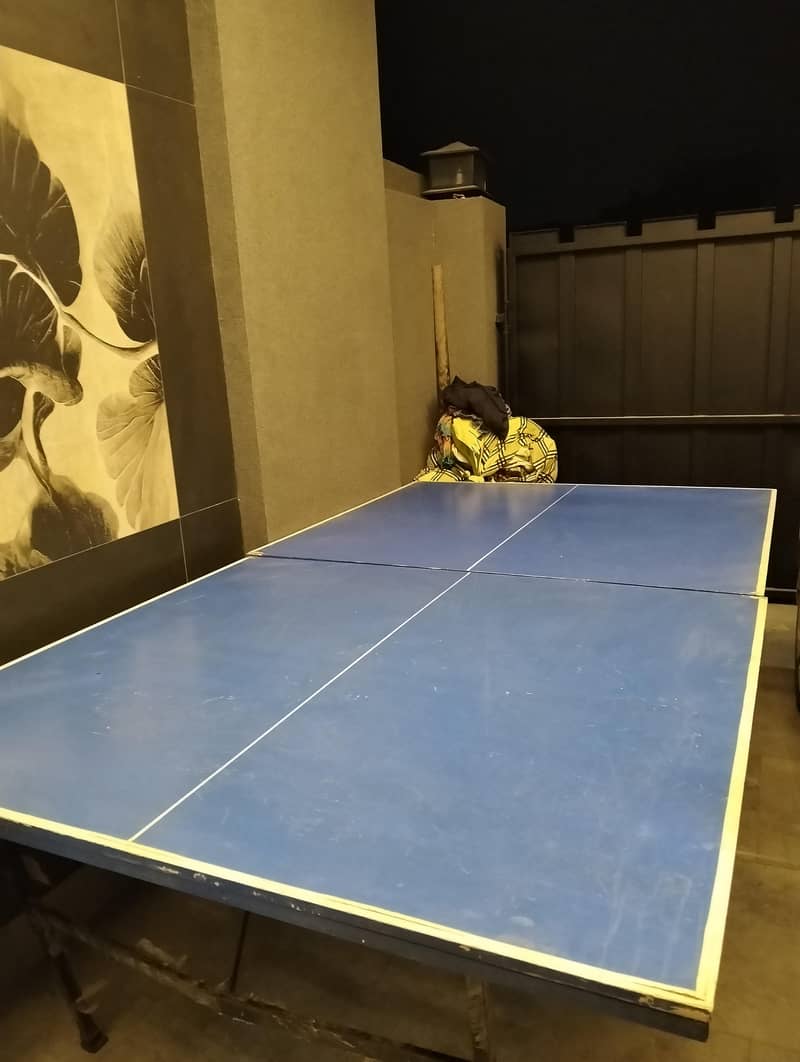 Table Tennis Complete 0