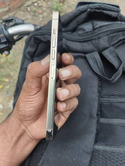 Apple iPhone 13 Pro Max0Max 03067670669