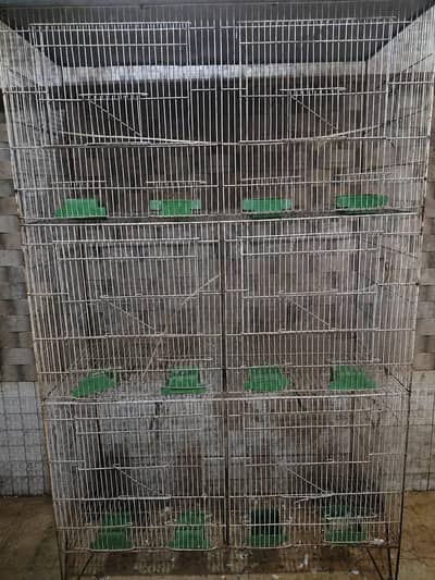 Cage and parrots/birds for sale (setup for sale)