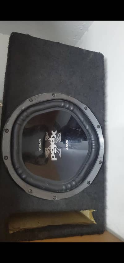 Woofer & amplifier