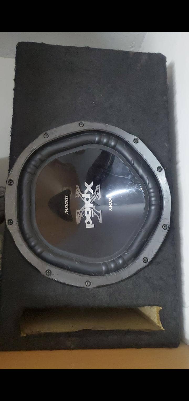 Woofer & amplifier 1