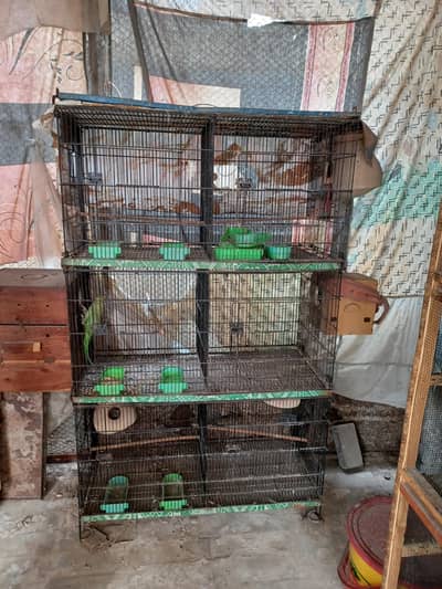 cages for sale Argent