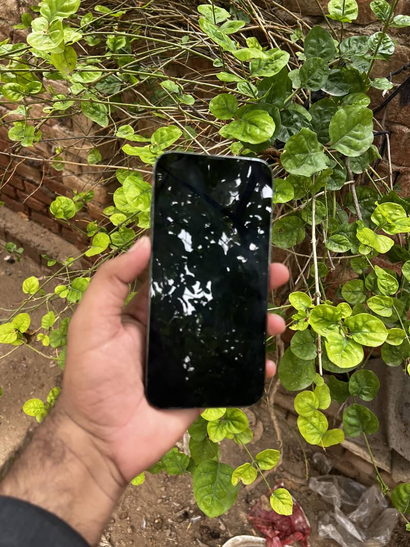 Apple iPhone 13 Pro Max 3