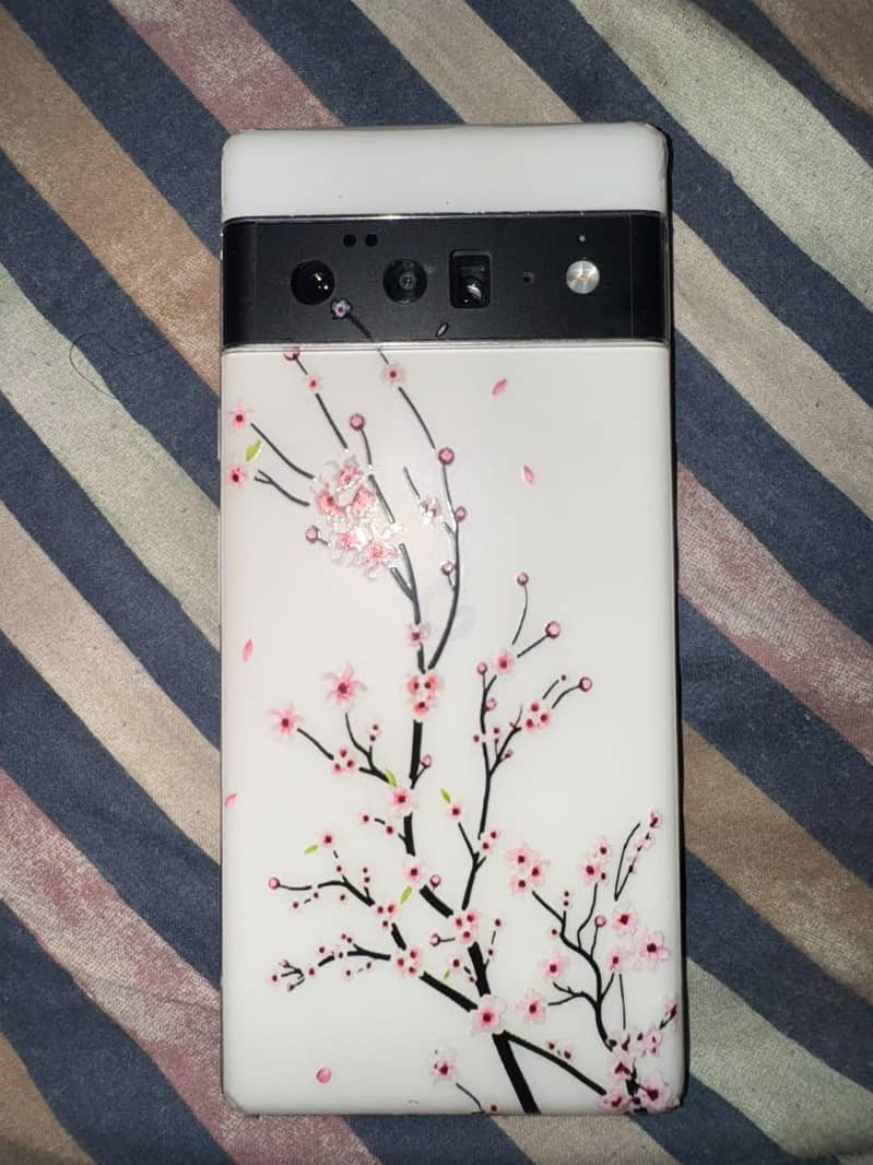 Google Pixel 6 Pro 1