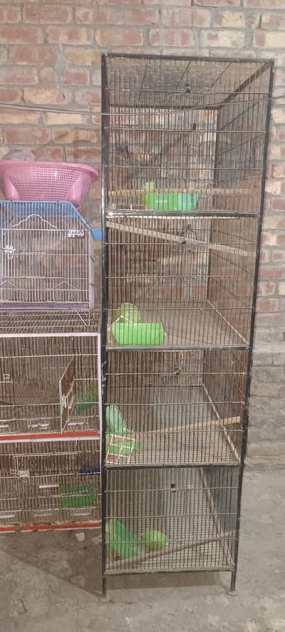 Cages for Birds