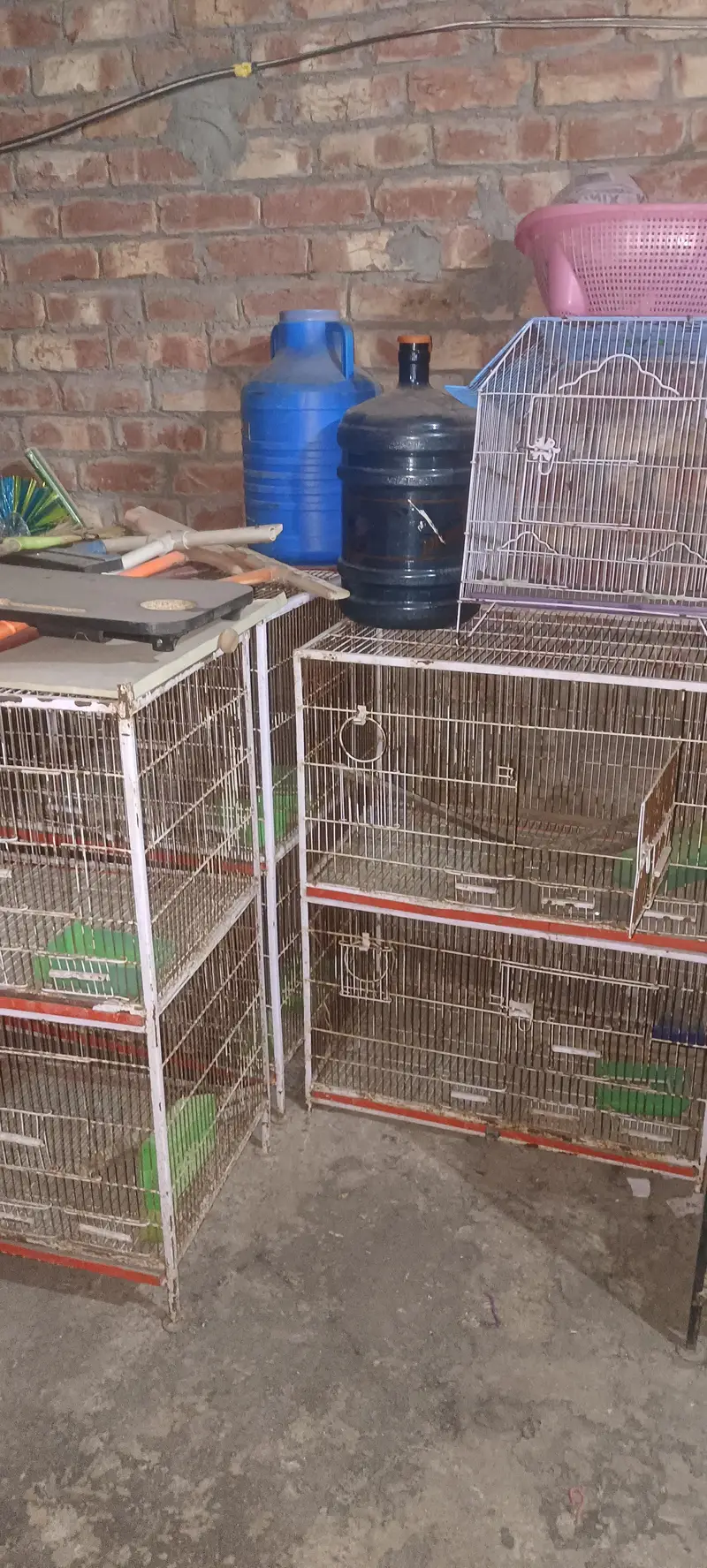 Cages for Birds — photo 3