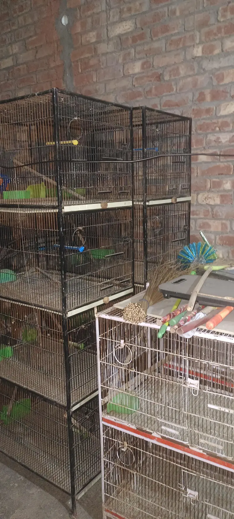 Cages for Birds — photo 4