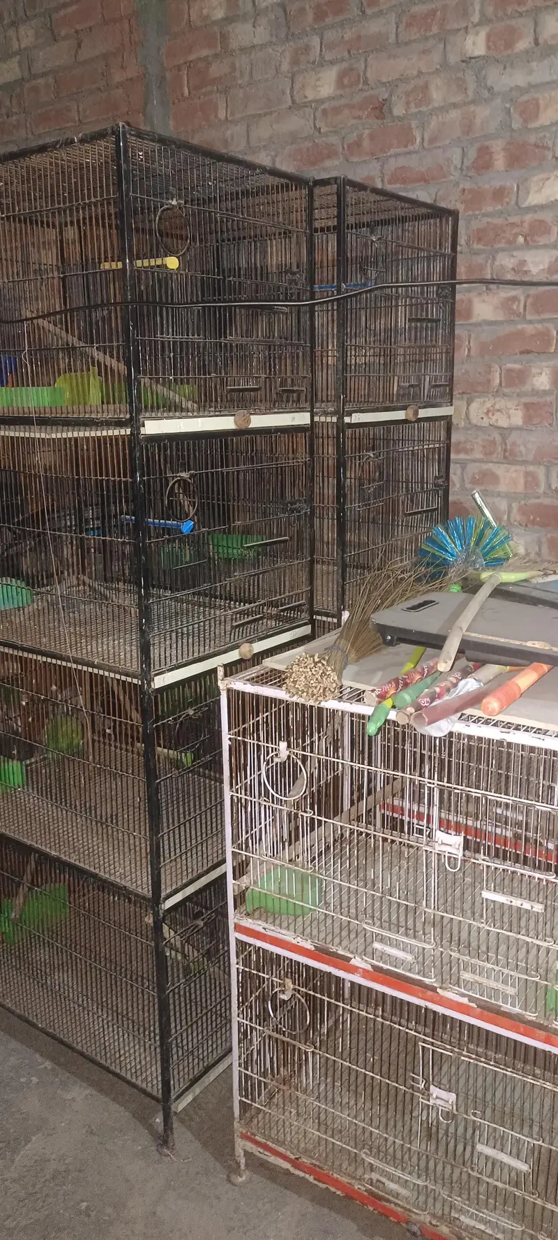 Cages for Birds — photo 5