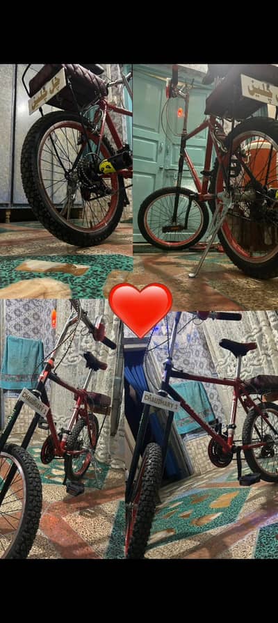 phoneix cycle