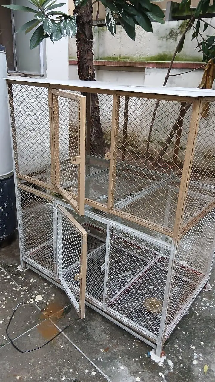 double story Hen's cages 10/10 condition — photo 2