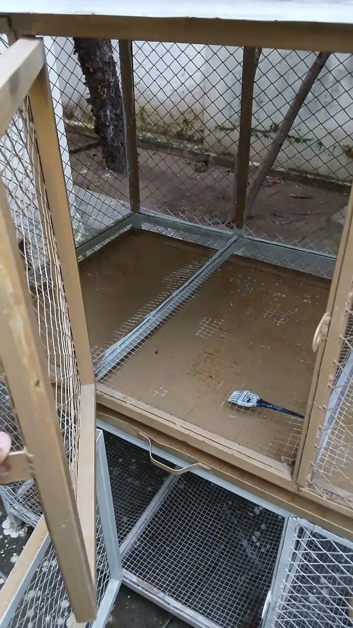 double story Hen's cages 10/10 condition — photo 4
