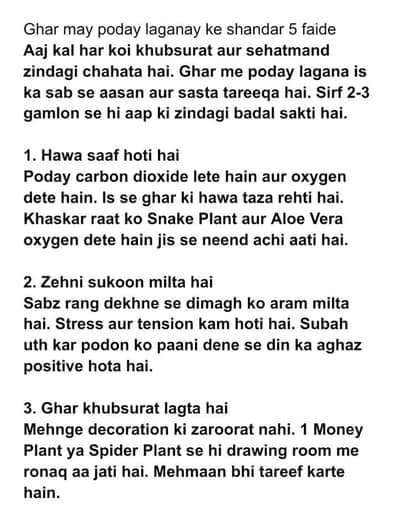 Urdu Blog Writer | SEO Articles | 500 per 500 words