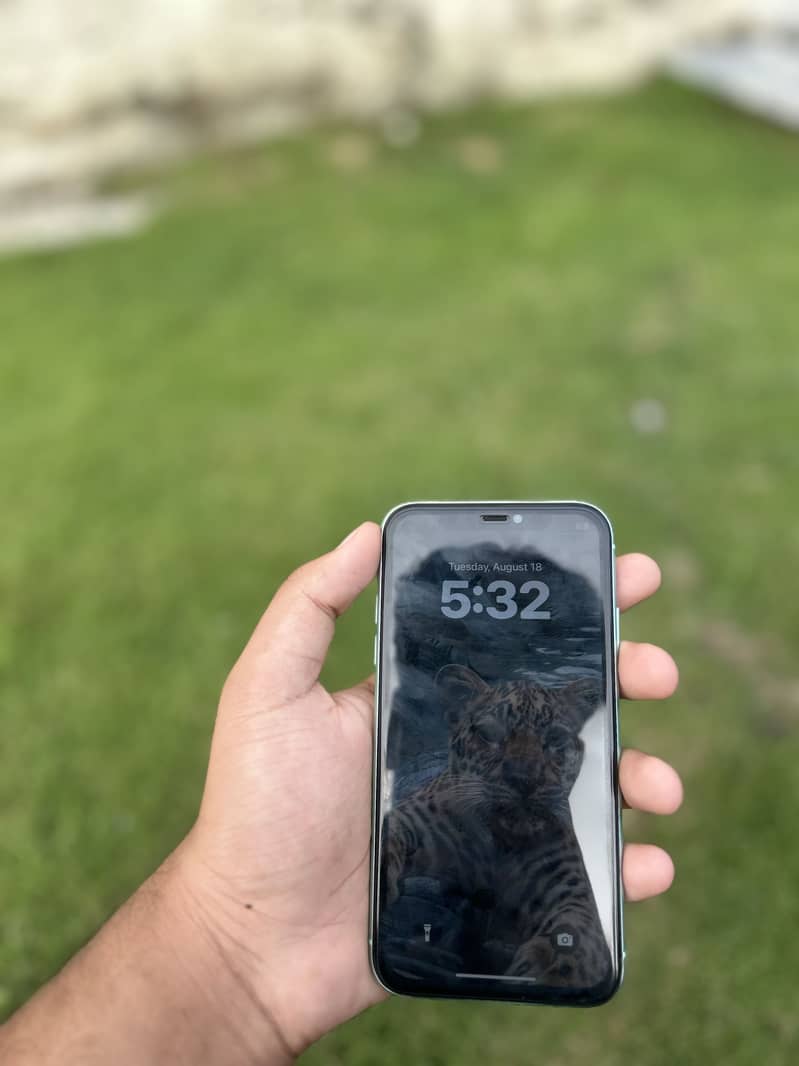 Apple iPhone 11 0