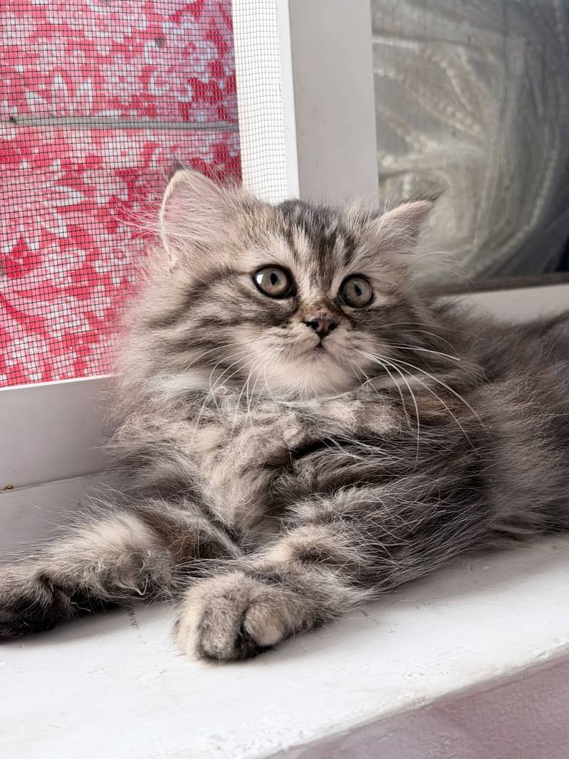 It's so cute  0