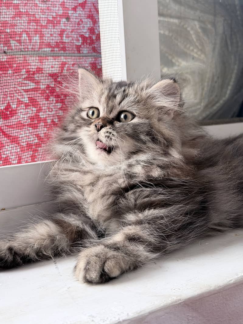 It's so cute  1