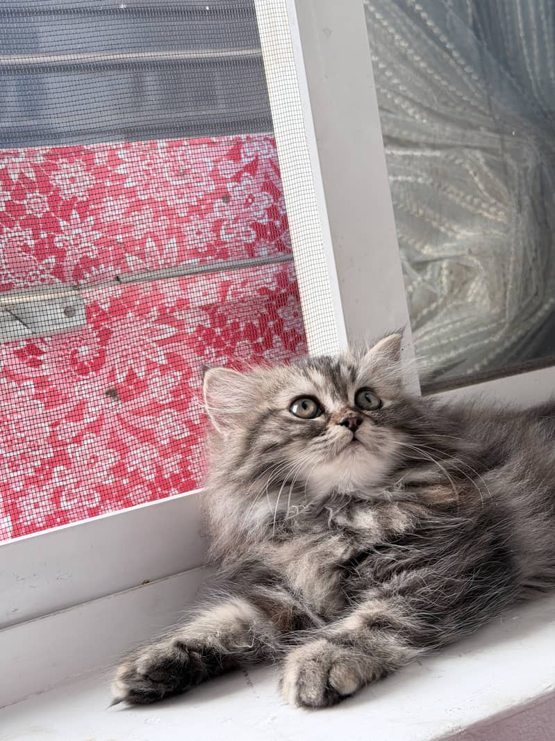 It's so cute  2