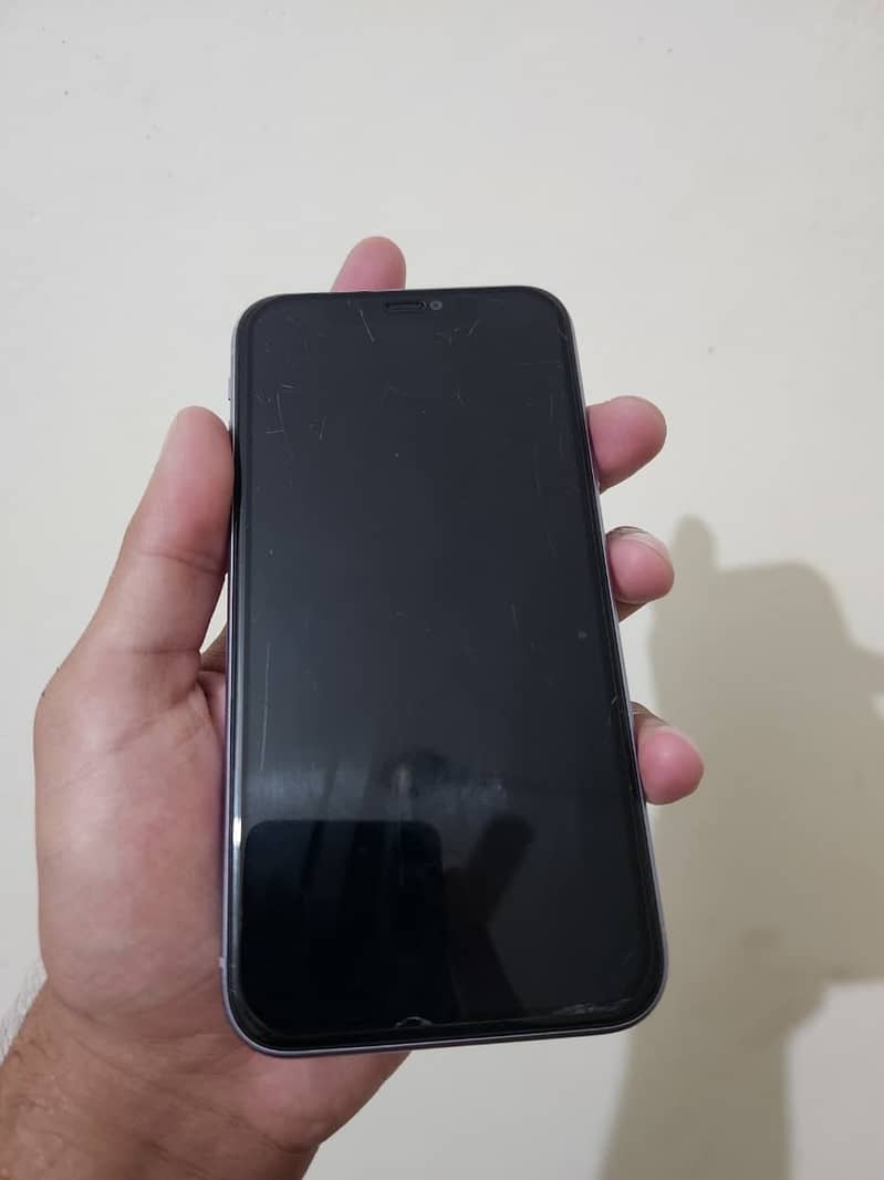 Apple iPhone 11 0