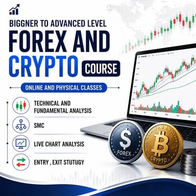 Beginner To Advanced Level Course