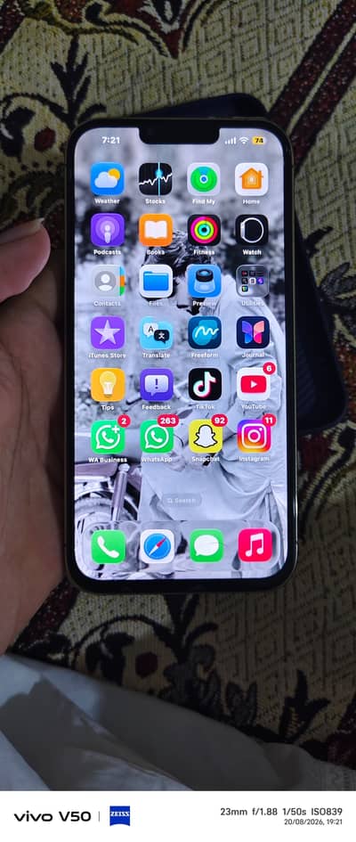 Apple iPhone 13 Pro Max