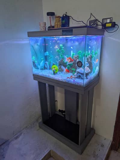 Aquarium - Fish tank - Glass frame