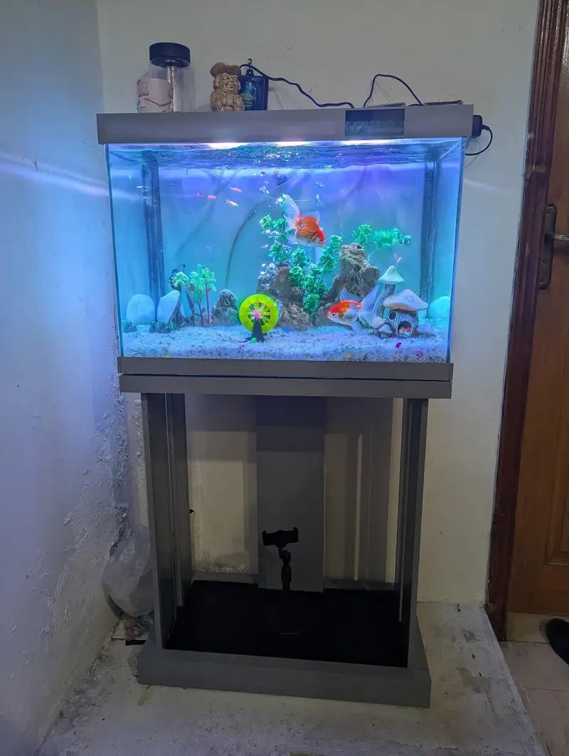 Aquarium - Fish tank - Glass frame — photo 2