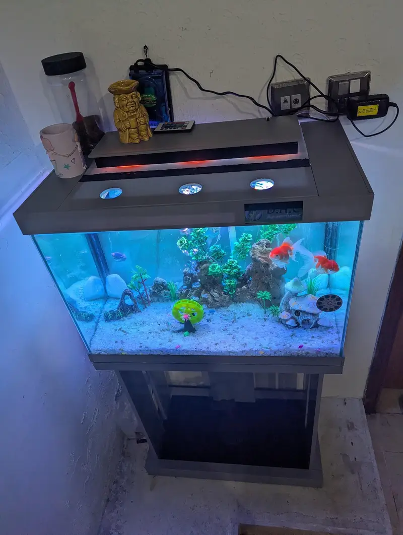 Aquarium - Fish tank - Glass frame — photo 5