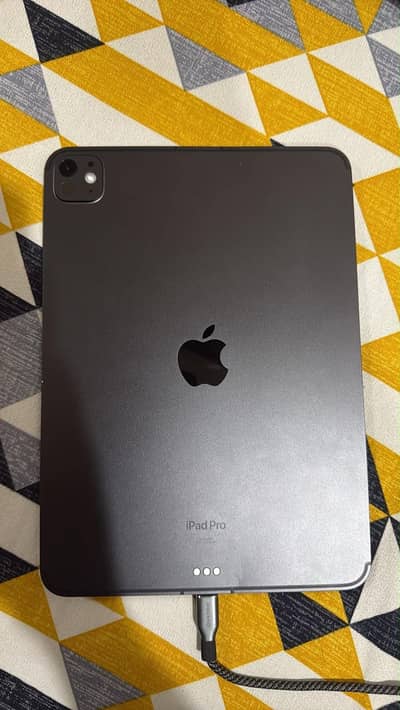 Ipad pro m4 11 inch 256gb