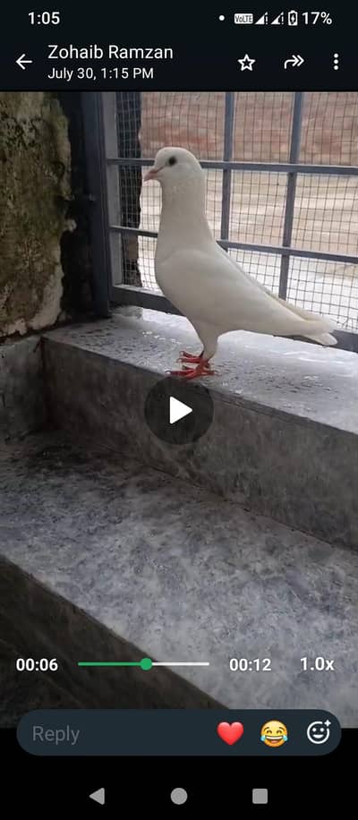 urgent sale 03259754159