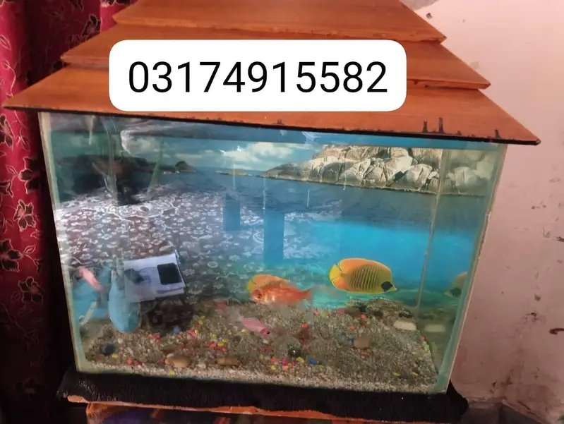 Fishes — photo 4