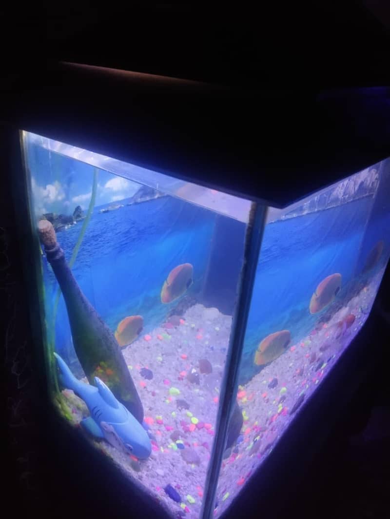 Fishes 5
