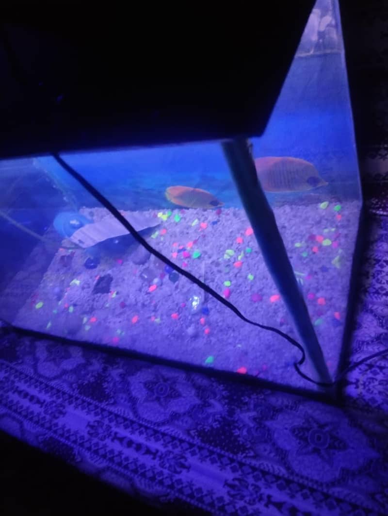 Fishes 6