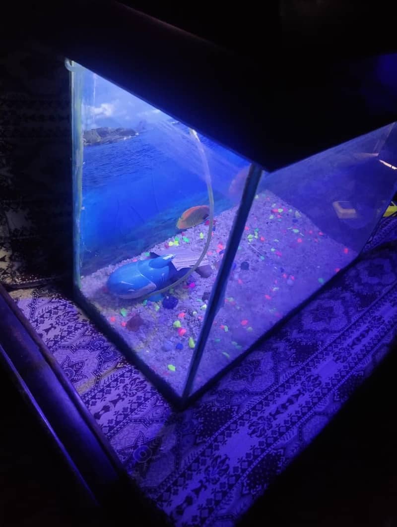 Fishes 7